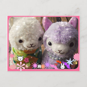 Tarjeta postal Cuta de Alpaca