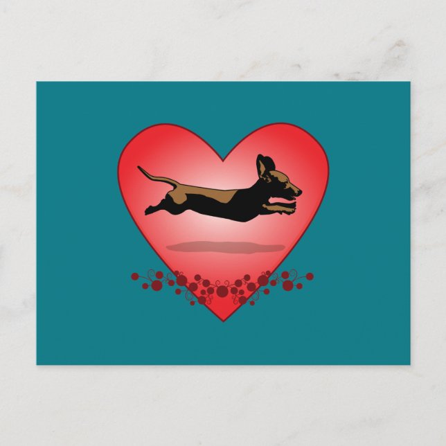 Tarjeta postal Dachshund (Anverso)