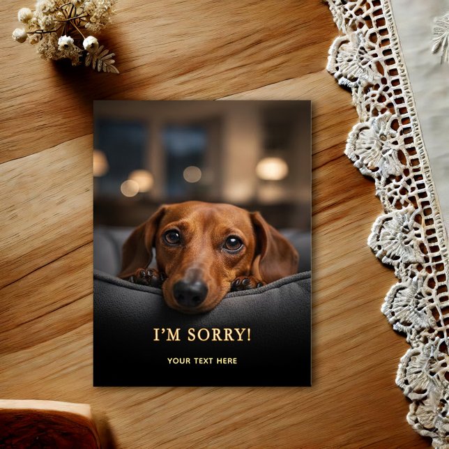 Tarjeta postal Dachshund adorable lo siento (Subido por el creador)