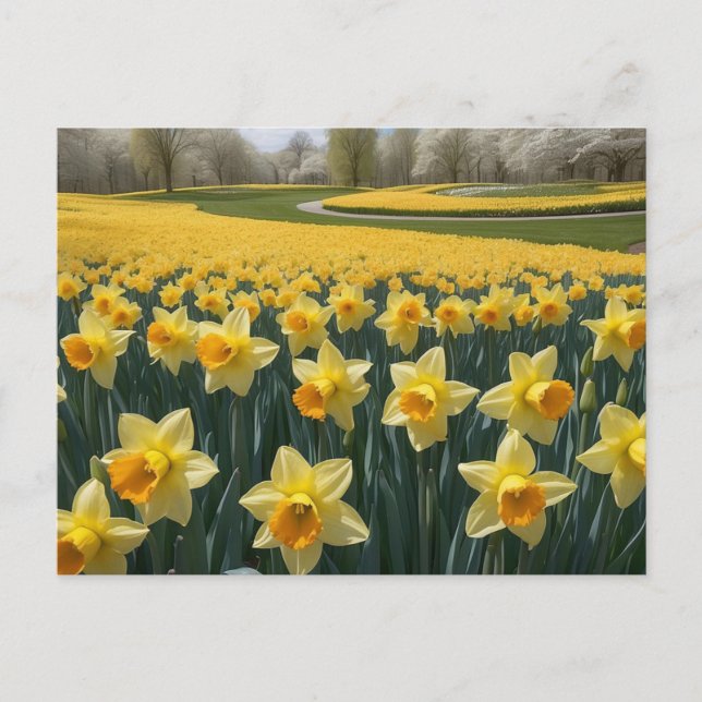 Tarjeta postal Daffodils (Anverso)
