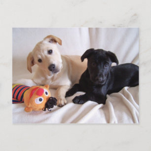 Tarjeta postal Data and Violet 2