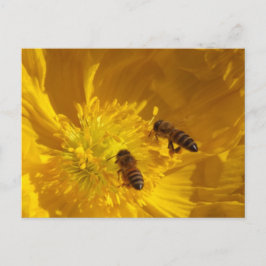 Tarjeta postal de abejas