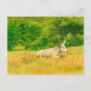 Tarjeta postal de acuarela de vaca blanca