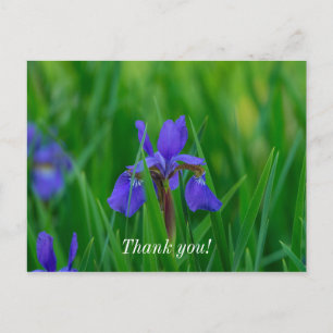 Tarjeta postal de agradecimiento Blue Dutch entre