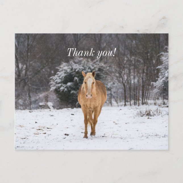 Tarjeta postal de agradecimiento de caballo rubio  (Anverso)