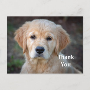 Tarjeta postal de agradecimiento de cachorro de Go