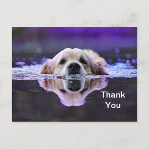 Tarjeta postal de agradecimiento de Golden Retriev