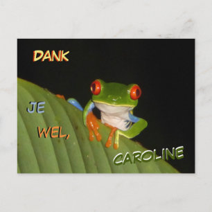 Tarjeta postal de agradecimiento de la rana noctur