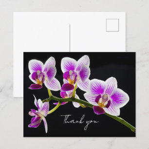 Tarjeta postal de agradecimiento de orquídea blanc