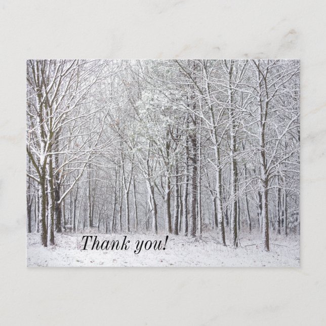 Tarjeta postal de agradecimiento de Snow Woods (Anverso)