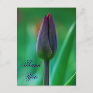 Tarjeta postal de agradecimiento de tulipán púrpur
