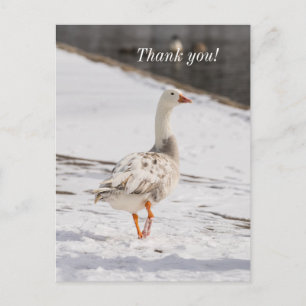 Tarjeta postal de agradecimiento del paso del gans