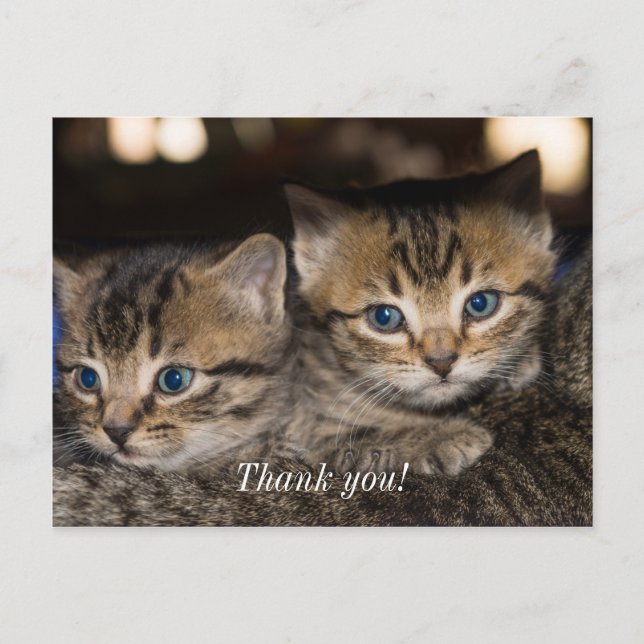 Tarjeta postal de agradecimiento en la parte trase (Anverso)