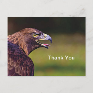 Tarjeta postal de agradecimiento Hawk