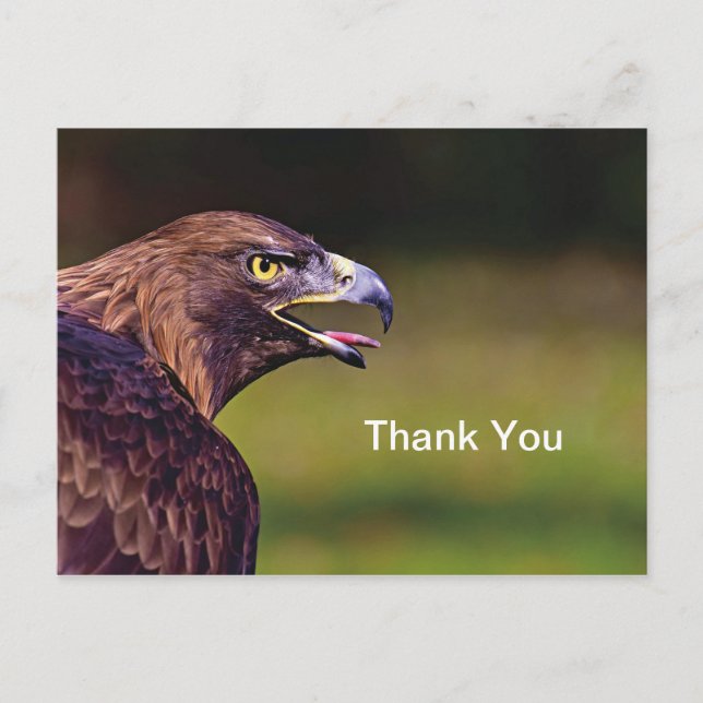 Tarjeta postal de agradecimiento Hawk (Anverso)
