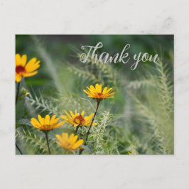 Tarjeta postal de agradecimiento o use su propio s