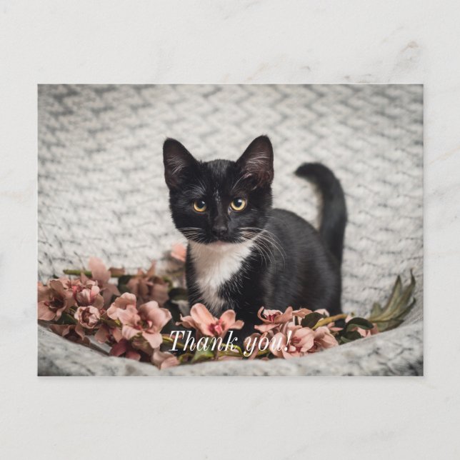 Tarjeta postal de agradecimiento Pretty Bella Rose (Anverso)