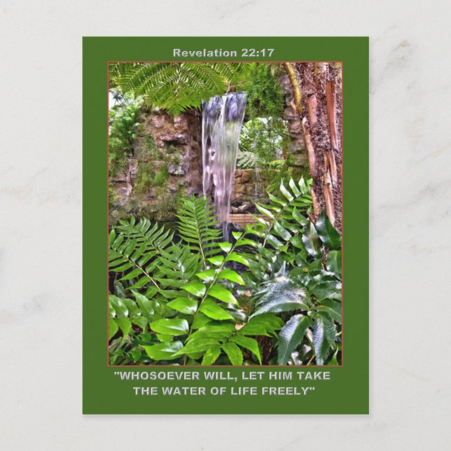 Tarjeta postal de agua de vida (Anverso)