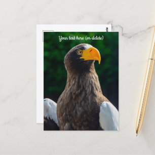 Tarjeta postal de águila marina estelar