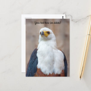 Tarjeta postal de águila pescadora africana