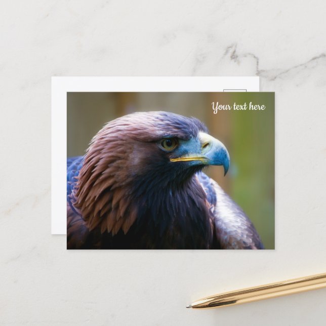 Tarjeta postal de águila real (Anverso/Reverso In Situ)