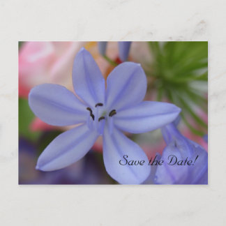 Tarjeta postal de Ahorra la Fecha de flor azul