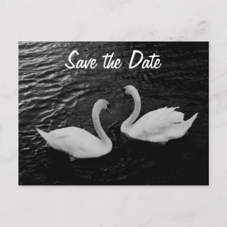 Tarjeta Postal de Ahorrar el Día del Cisne