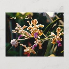 Tarjeta Postal de Ahorro de Orquídea Salvaje