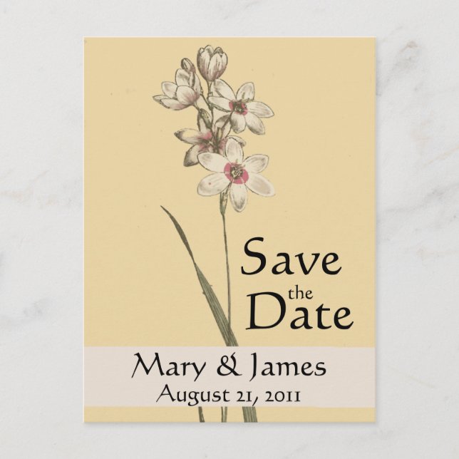 Tarjeta Postal de Ahorro Floral de Botánicos Antig (Anverso)