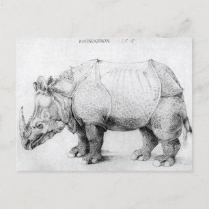 Tarjeta postal de Albrecht Durer Rhinoceros