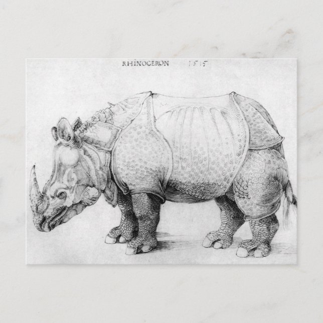 Tarjeta postal de Albrecht Durer Rhinoceros (Anverso)