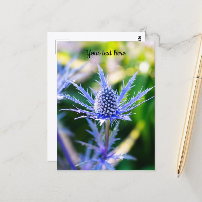 Tarjeta postal de Alpen Mannstreu (Anverso/Reverso In Situ)