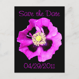 Tarjeta postal de amapola oriental 'Save the Date'