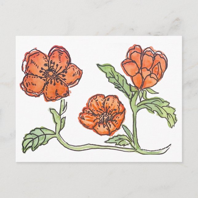 Tarjeta postal de amapola pequeña (Anverso)