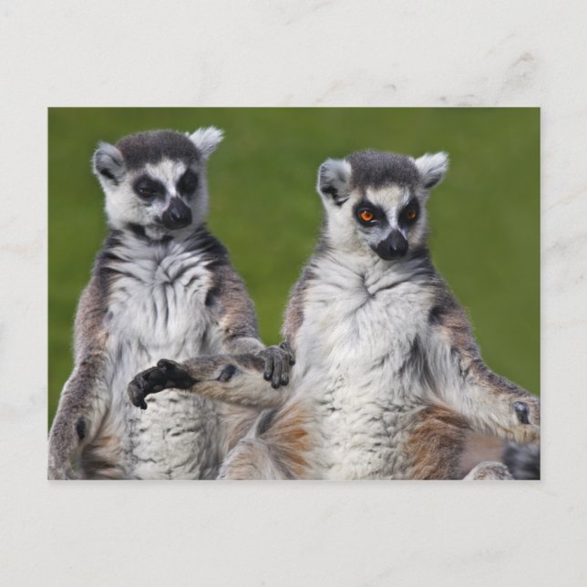Tarjeta postal de amigos (Anverso)