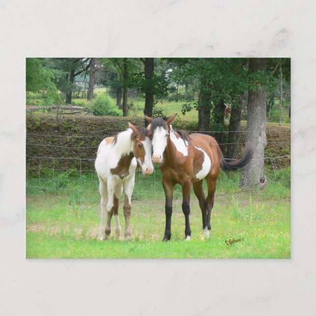 Tarjeta postal de amigos (Anverso)