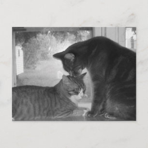 Tarjeta postal de amigos