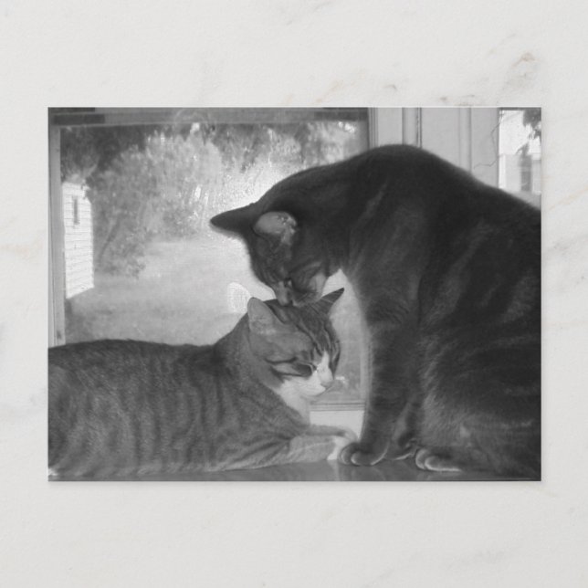 Tarjeta postal de amigos (Anverso)