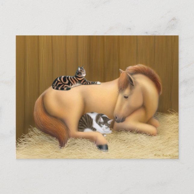 Tarjeta postal de amigos de Barn (Anverso)