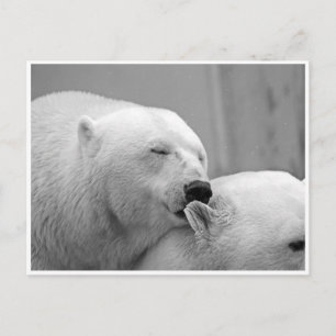 Tarjeta postal de amigos de oso polar