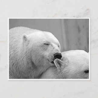 Tarjeta postal de amigos de oso polar