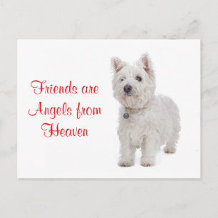 Tarjeta postal de amigos del perro Terrier West Hi