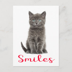 Tarjeta postal de amistad de gatito gris lindo Hel