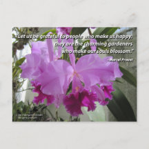 Tarjeta postal de amor y amistad para la orquídea