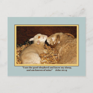 Tarjeta postal de amor y paz