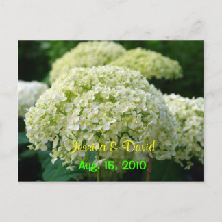 Tarjeta Postal de Anuncio de Boda con Hortensia Bl