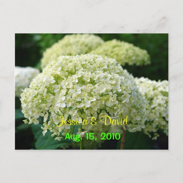 Tarjeta Postal de Anuncio de Boda con Hortensia Bl (Anverso)