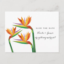 Tarjeta Postal de Anuncio de Boda Pájaro de Paraís