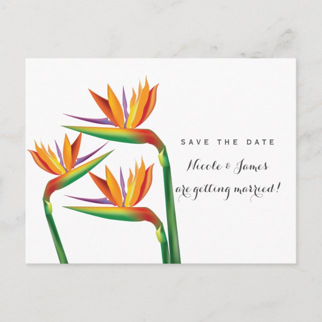 Tarjeta Postal de Anuncio de Boda Pájaro de Paraís (Anverso)