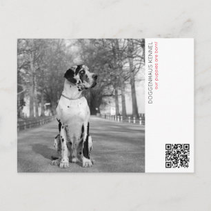 Tarjeta postal de anuncio de cachorros